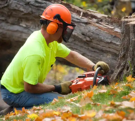 tree services Navajo